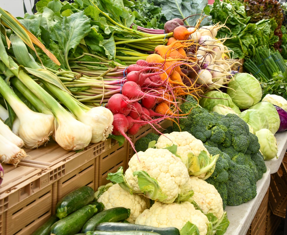 Alimenti ricchi di fibre